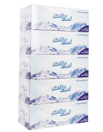 Soft n Cool Facial Tissues 5boxes 2ply