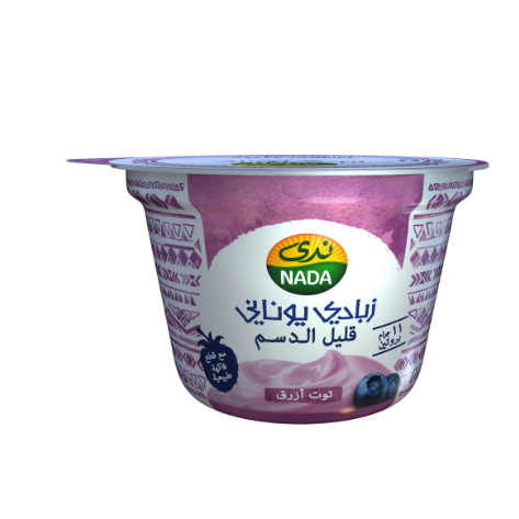 Nada Low Fat Blueberry Greek Yogurt with Real Fruit Pieces - no added powder, no added water