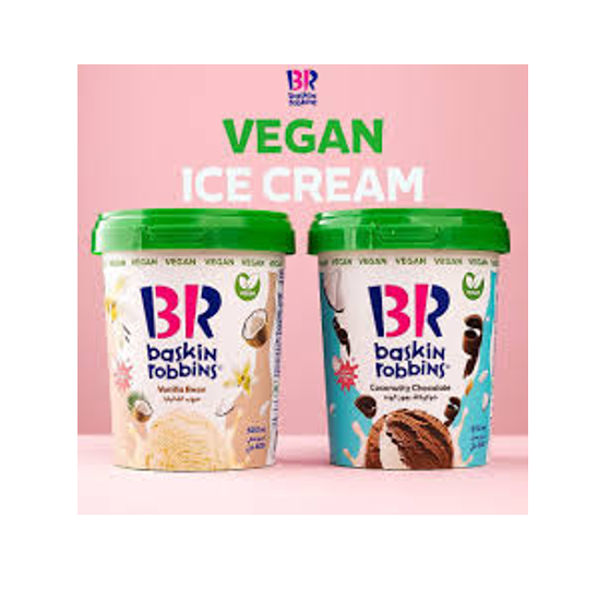 Baskin Robbins Chocolate Ice Cream - vegetarian3
