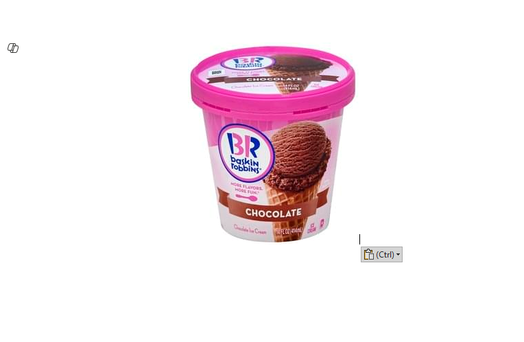 Baskin Robbins Chocolate Ice Cream - vegetarian2