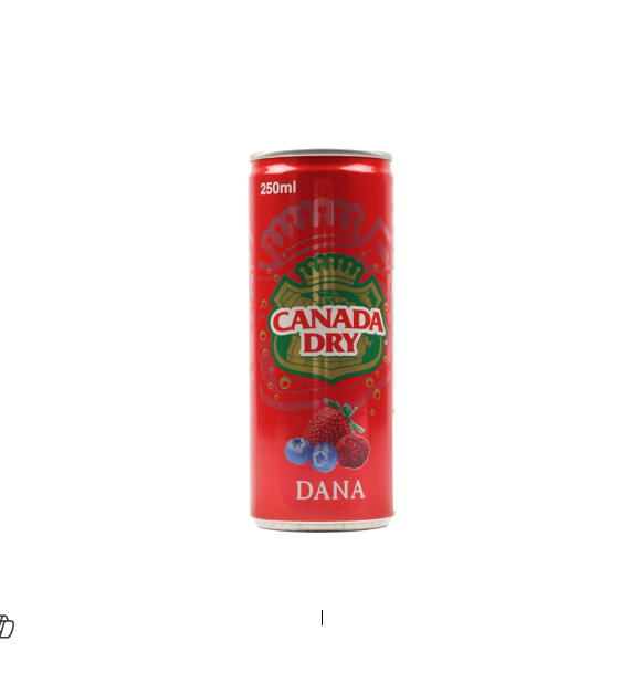 CANADA DRY DANA 250 ML 