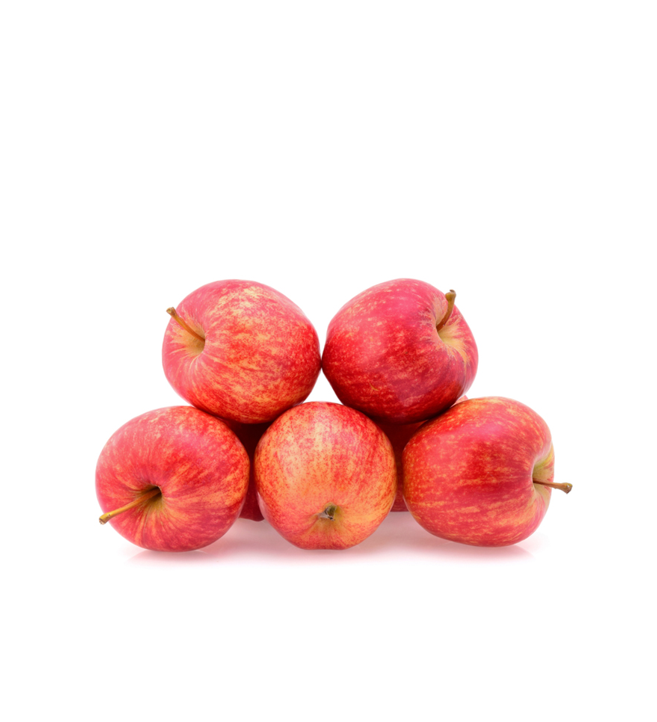 APPLE GALA PKT III 