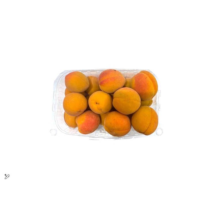 APRICOT PKT 500GM III