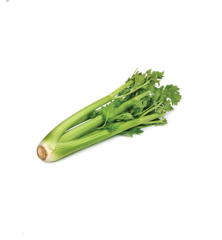 CELERY HOLLAND KG III