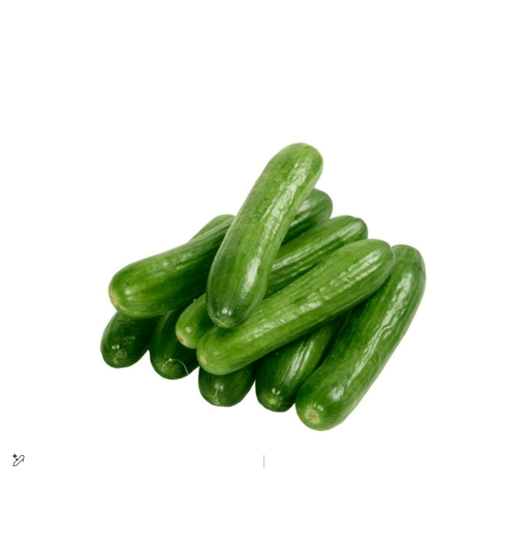 CUCUMBER KG III