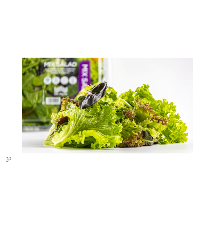 DAR AQUA GEEN BOSTON (PCS) III