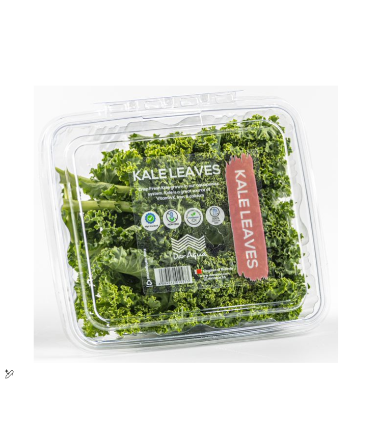  DAR AQUA KALE LEAVES (PKT) III