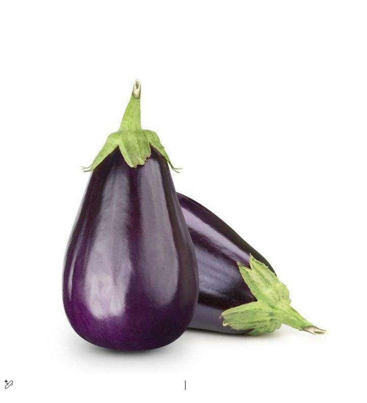 EGGPLANT KG III