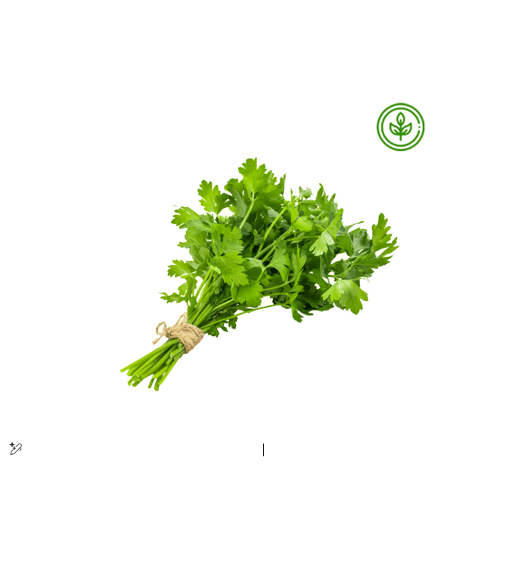 Fresh Coriander Leaves (PCS) III