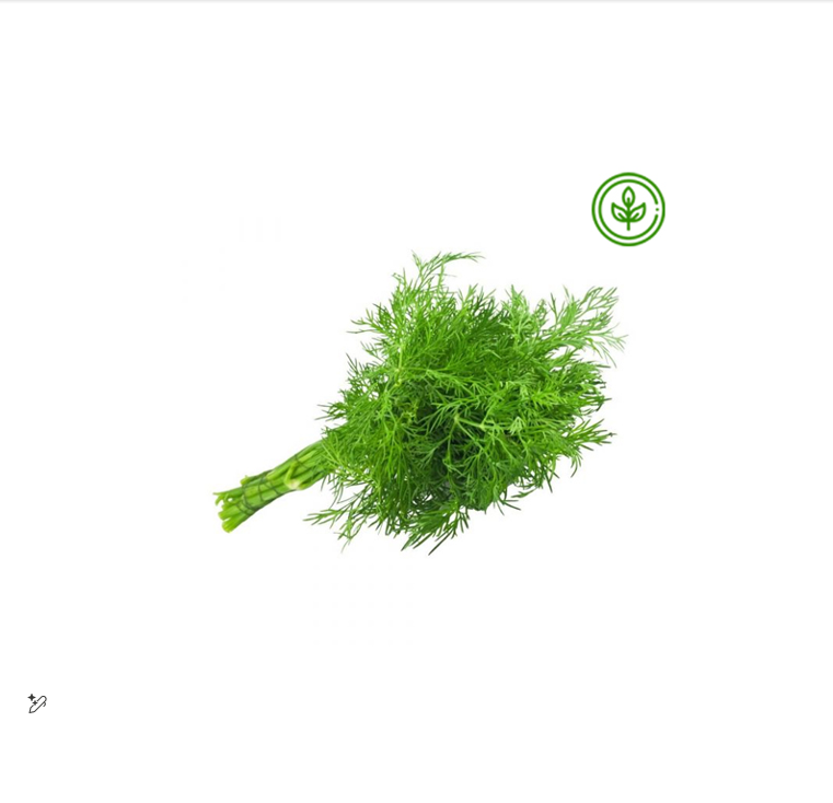 Fresh Dill Leaves (PCS) III