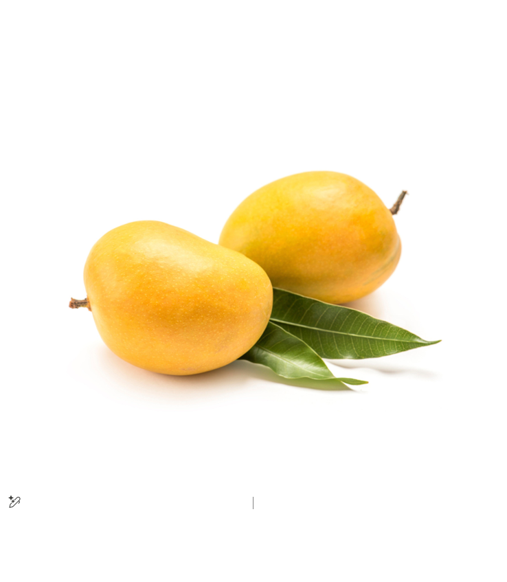 FRESH MANGO KG III