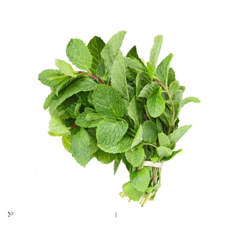 Fresh Mint Leaves (PC) III