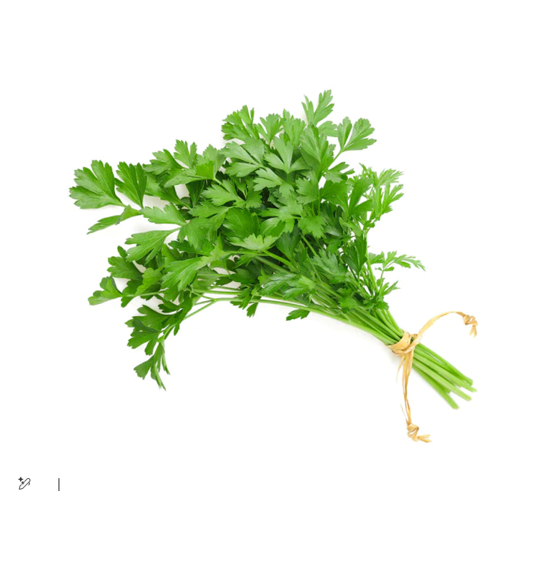 Fresh Parsley Leaves (PCS) III