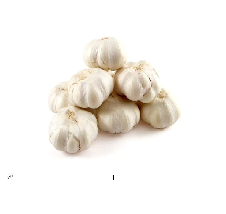GARLIC KG III