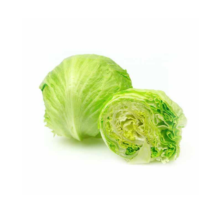 LETTUCE ICEBERG KG III