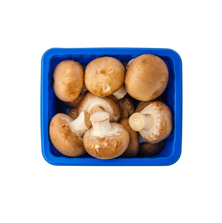 MUSHROOM BROWN PKT III 