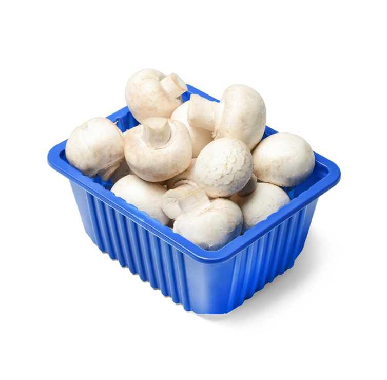MUSHROOM WHITE PKT III 