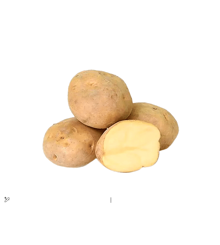 POTATO KG III