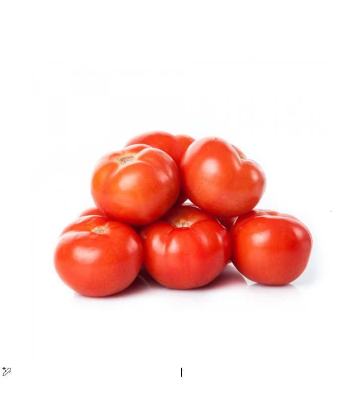 TOMATO JORDAN KG III