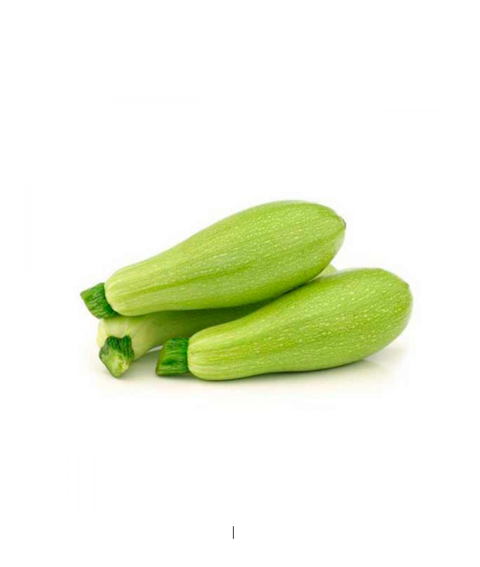 ZUCHINI JORDAN KG III