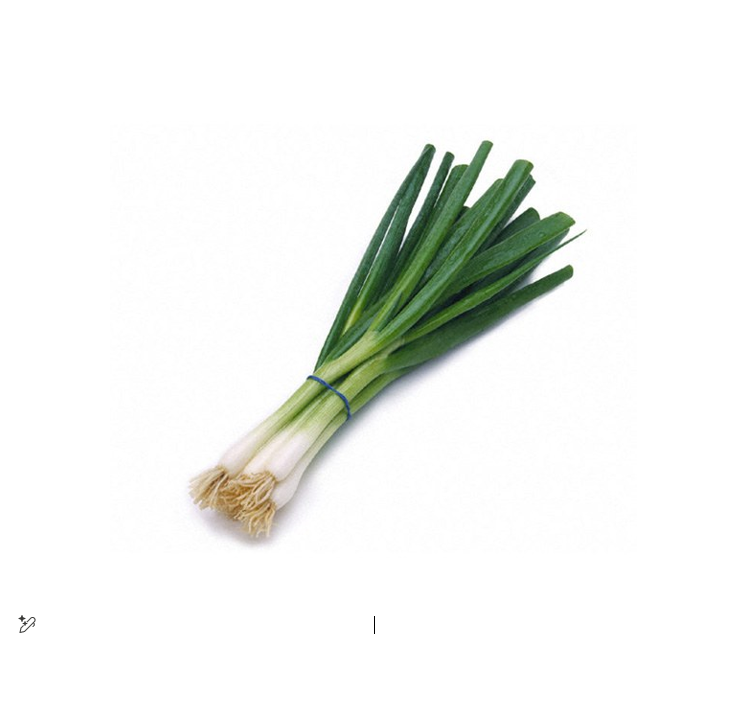ONION GREEN (PCS) III