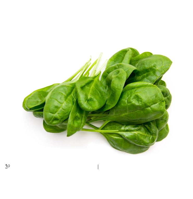 SPINACH LEAVES III