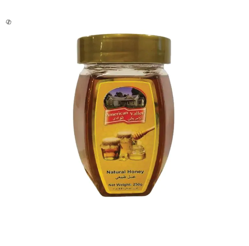 AMERICAN VALLEY HONEY 25GM 