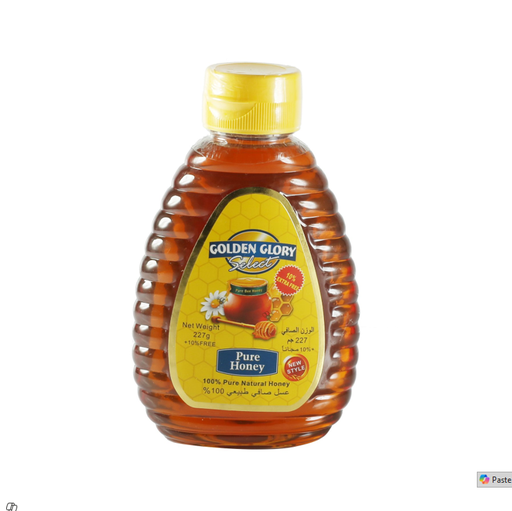 [01060300290] Golden Glory Select Pure Honey 227g