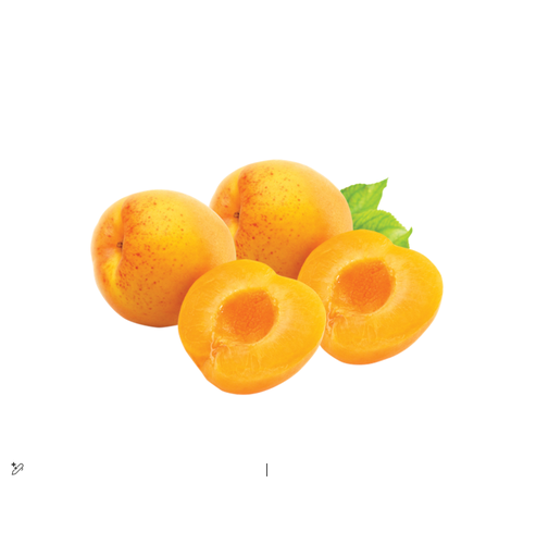 [2000153] APRICOT KG III