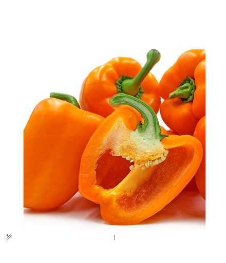 [2000161] CAPSICUM ORANGE KG III