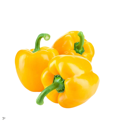 [2000163] CAPSICUM YELLOW KG III