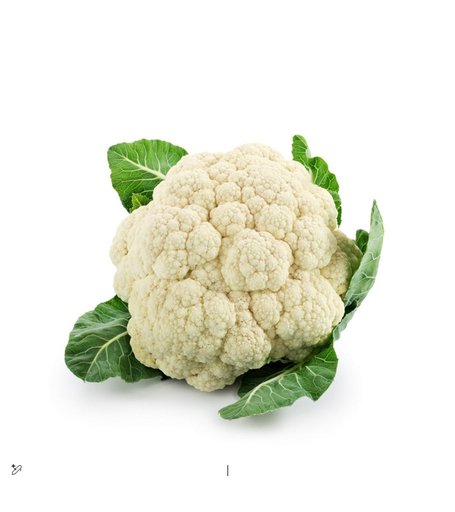 [2000165] CAULIFLOWER KG III