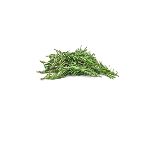 Fresh Rosemary Leaves Holland (PCS) III
