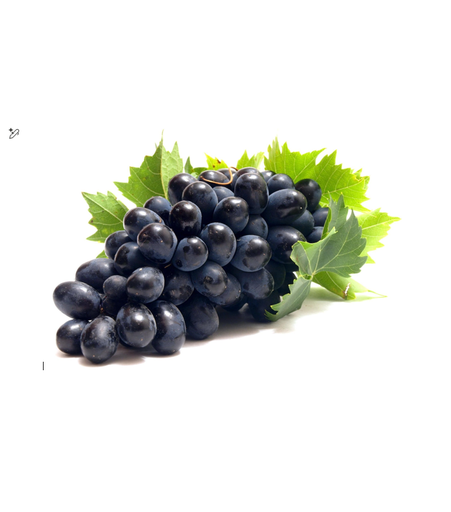 [2000174] GRAPES BLACK KG III