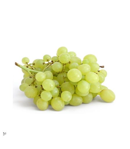 [2000175] GRAPES GREEN KG III