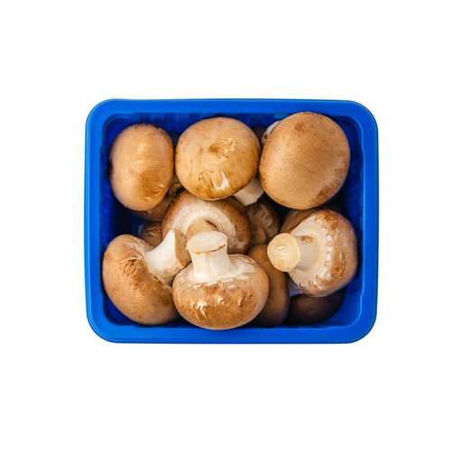 MUSHROOM BROWN PKT III 