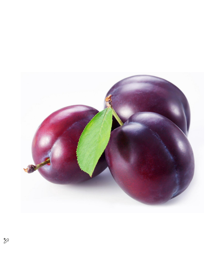 [2000196] PLUMS PACK KG III