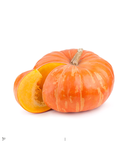 [2000199] PUMPKIN KG III