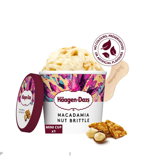 [ICE CREAM] HAAGEN DAZS MACADAMIA NUT BRITTLE ICE CREAM CUP100ML