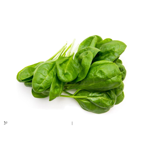 [2000214] SPINACH LEAVES III